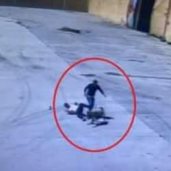 Diyarbakır’da başıboş sokak köpeğinin saldırdığı işçiyi arkadaşı kurtardı