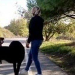 Hem cana kast etti hem beddua! Sürücülere sokak köpekli tuzak