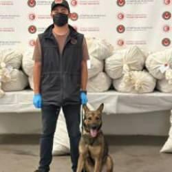 Kapıkule'de 2 TIR’da toplam 212 kilo esrar ele geçirildi