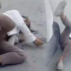 Köpek severlerden ‘Oscar’lık performans: Bayılma numarası yaptı