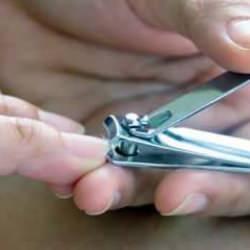 Tırnak makasındaki küçük çıkıntının sırrı gün yüzüne çıktı! Gereksiz sanılıyordu