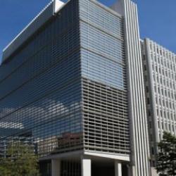 Türkiye ile Dünya Bankasından orman yangınlarına yönelik işbirliği çalıştayı