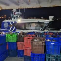 Yakaladığı 6 ton kalkan balığının sevinci kursağına dizildi: Şoke eden ceza!