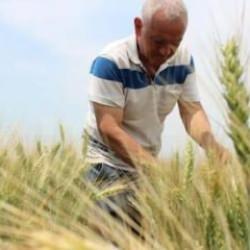 Bakan duyurdu: Bugün hesaplara yatırılacak!