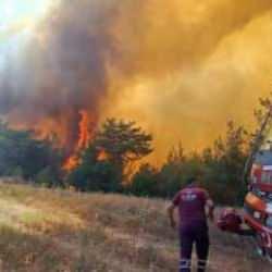 Arka arkaya korkutan yangın! İşte alevlerin yükseldiği iller