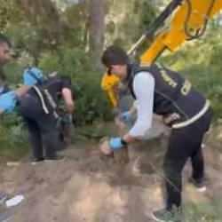 7 yıldır kayıp olan kadın cinayete kurban gitmiş