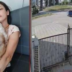 Bursa'da kangal dehşeti yaşayan kadın: 'Bacağımın arkasını parçaladılar'