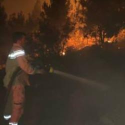 Anız yakarken ormanı yaktılar