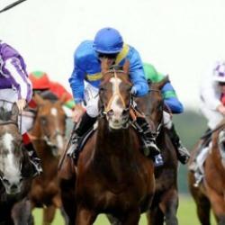 At yarışında neden şapka takılır? Asıl sebebini öğrenince çok şaşıracaksınız!