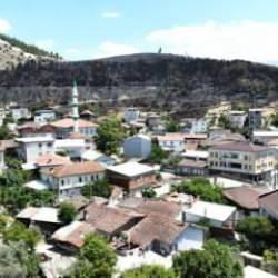 Ciğerimizi yakan görüntü! Yemyeşil orman manzaraları şimdi kömürlüğe döndü