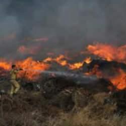DMM'den İzmir'deki yangın iddialarına yalanlama