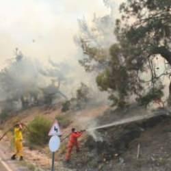 DMM'den orman yangınlarıyla ilgili açıklama!