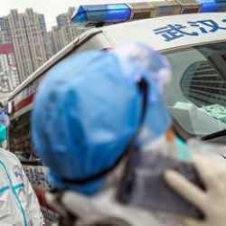 İki yeni virüs keşfedildi! İnsana bulaşabilir, aşısı yok