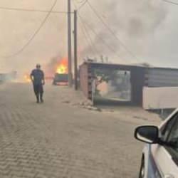 İzmir’de orman yangını kontrol altında