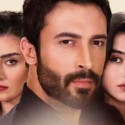 Kanal 7'den b&uuml;y&uuml;k ses getirecek proje! Kuma'yla ekranlara damga vurmaya geliyor