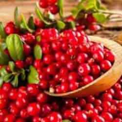 Kandaki CRP oranını düşürüyor, enfeksiyonu temizliyor! Vücuttan toksinleri atıyor