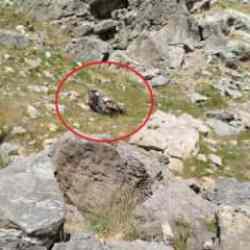 Batman'da bilirkişi ekibinin otomobili, şarampole yuvarlandı: 5 ölü