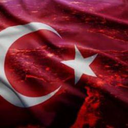 MHP'den 'Terörsüz Türkiye' için yeni adım! 81 ilde başlıyor
