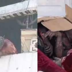 Müslümanları diri diri yaktılar! Bölgeden korkunç görüntüler geliyor