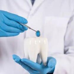 ÖSYM duyurdu: 2025 DUS 1. Dönem tercih işlemleri başladı!