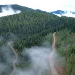 Piknik yapmak isteyenler dikkat! 47 ilde ormanlara giriş yasaklandı!