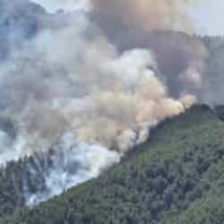 Son dakika: 7 ilde orman yangını! Hepsi kontrol altına alındı