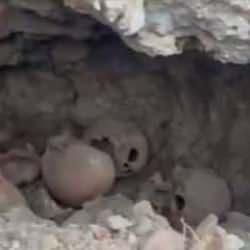 Temel kazısında şoke eden görüntü: Çok sayıda kafatası, kemik çıktı