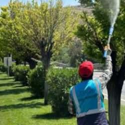 Gaziantep Büyükşehir, kentteki ilaçlama çalışmalarına hız kazandırdı 