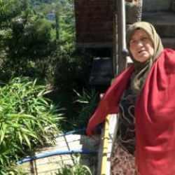 Kalem yapımı için dikilen bitki kâbusları oldu: 'Birkaç sene sonra köy kapanır"