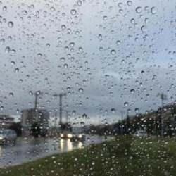 Doğu Karadeniz'de kuvvetli yağış bekleniyor