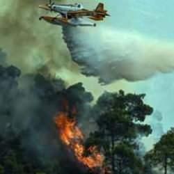 Bakan Yumaklı'dan orman yangını a&ccedil;ıklaması! İşte kontrol altına alınan yerler