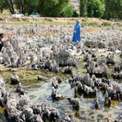 Bunlar kaya değil canlı! Vatandaşlar uyarıldı: Şimdilik 40 metreler