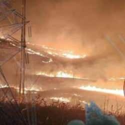 Elektrik tellerinden yangın çıkar mı? Elektrik tellerinden orman yangını nasıl çıkar?