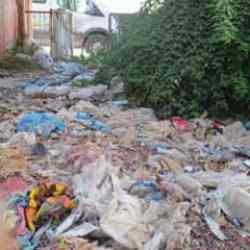 Evin bah&ccedil;esinden kamyon dolusu &ccedil;&ouml;p &ccedil;ıktı