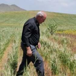 Çiftçi şoke eden hadise: 15 gün içinde tüm emeği yok oldu