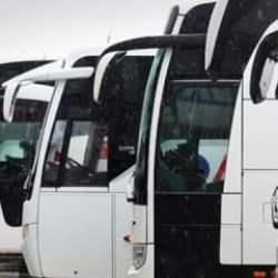 Fiyatı en fazla düşen patates oldu!