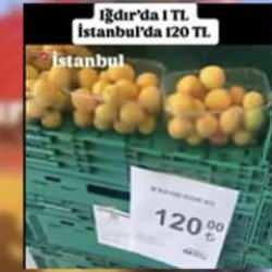 'Iğdır'da kayısı 1 TL, İstanbul'da 120 TL' paylaşımına milyonluk ceza