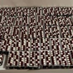 İkametinde tam 3 bin 252 sentetik ecza ele geçirildi