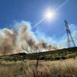 İstanbul Silivri'deki orman yangını kontrol altına alındı!