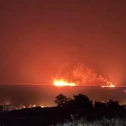 Koruma altında bulunan Kuş Cenneti'nde yangın!