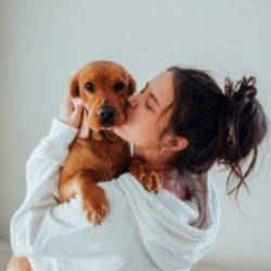 Modern yalnızlık ve kontrolden çıkan hayvan sevgisi