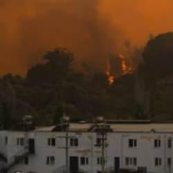 Orman yangınlarında acı bilanço: 5 ilde hasar tespit çalışmaları sürüyor!