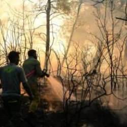 Sağlık Bakanlığından vatandaşlara 'duman' uyarısı: Ciddi risk taşıyor!