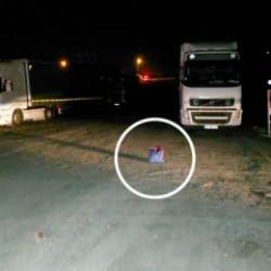 Samsun'da ekipleri alarma geçiren olay!
