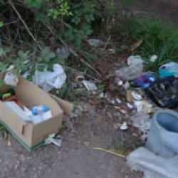 Şile'de rezil görüntü: Poşet poşet çöpleri doğaya atmışlar!