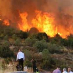 Son dakika: Orman yangınlarında son durum! Hatay'da da yangın çıktı