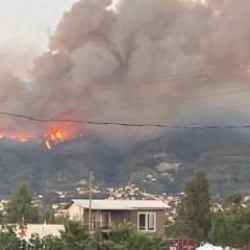 Son Dakika: Hatay Dörtyol'da orman yangını çıktı!