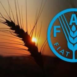 Türkiye, FAO konsey üyeliğine seçildi