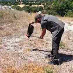 K&uuml;tahya'da restoran tuvaletinde g&ouml;r&uuml;len yılan paniğe neden oldu 