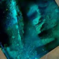 300 yıllık kayıp hazine bulundu! Denizin dibinden çıkarıldı...